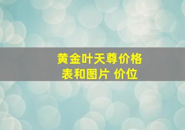 黄金叶天尊价格表和图片 价位